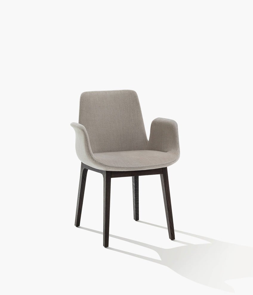 VENTURA Chairs Poliform