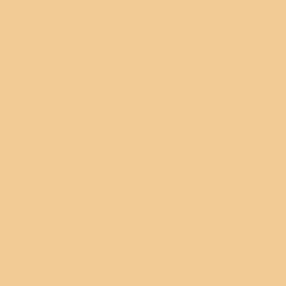 color11 color11