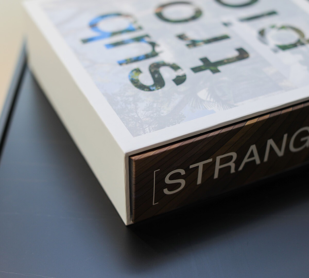 Conversation with Max Strang + Dan Rubinstein